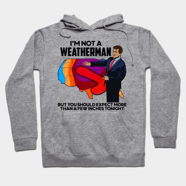 I'm Not a Weatherman, But You Can Expect a Few Inches Hoodie by darklordpug